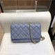CHANEL 샤넬 WOC 램스킨 A33813 신상