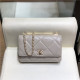 CHANEL 샤넬 WOC 19CM AS5005 신상