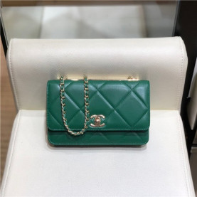 CHANEL 샤넬 WOC 19CM AS5005 신상