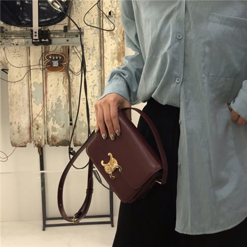 CELINE 셀린느 뉴로고  숄더백 신상 C550210-2