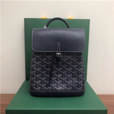 GOYARD 고야드 알핀 미니 백팩 G80901-3신상