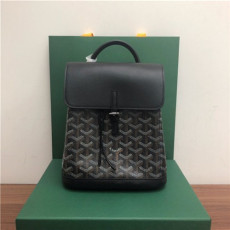 GOYARD 고야드 알핀 미니 백팩 G80901-5 신상
