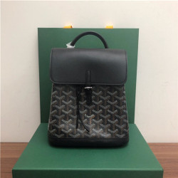 GOYARD 고야드 알핀 미니 백팩 G80901-5 신상