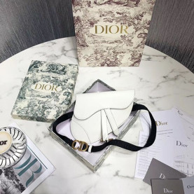DIOR 디올 미니 새들백 봄신상 D74800