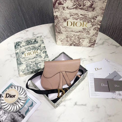 DIOR 디올 미니 새들백 봄신상 D74800