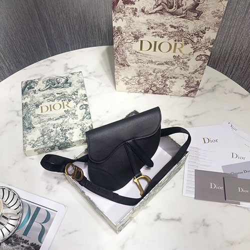 DIOR 디올 미니 새들백 봄신상 D74800