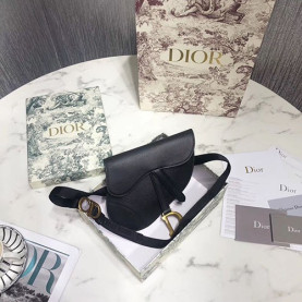 DIOR 디올 미니 새들백 봄신상 D74800