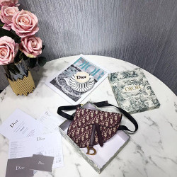 DIOR 디올 오블리크 미니 새들백 신상 D74800