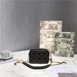 DIOR 디올 레이디 카메라백 신상 D18080