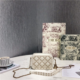 DIOR 디올 레이디 카메라백 신상