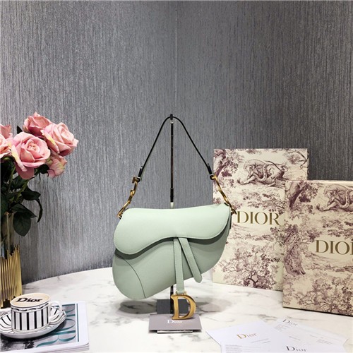 DIOR 디올 새들백 SADDLE M0446 25.5CM (스트랩선택가능함)