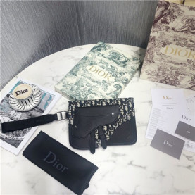 DIOR 디올 새들 클러치 D9002 신상