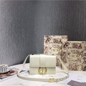 DIOR 디올 써티 몽테인백 D89151-7 신상