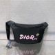 DIOR 디올&카우스 콜라보 힙색 D0310-1 신상
