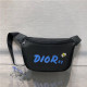 DIOR 디올&카우스 콜라보 힙색 D0310-2 신상