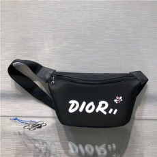 DIOR 디올&카우스 콜라보 힙색 D0310-3 신상