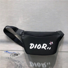 DIOR 디올&카우스 콜라보 힙색 D0310-3 신상