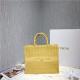 DIOR 디올 북백 토트 M1286-8 2020/신상
