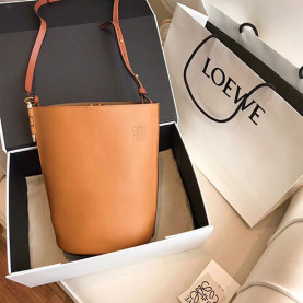 LOEWE 로에베 게이트 바게트백 봄신상 L1080252