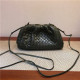BOTTEGA VENETA 보테가베네타 버터카프 더  파우치백 BV2300 신상