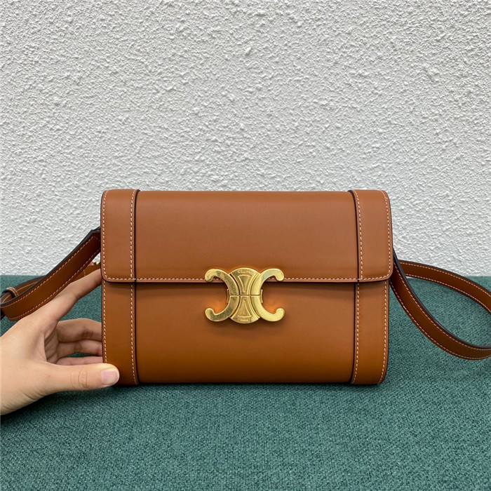 CELINE 셀린느 트리옴페 WOC C195263 2020/신상