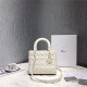 DIOR 디올 레이디 24CM D0565
