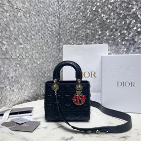 DIOR 디올 레이디백 M0538