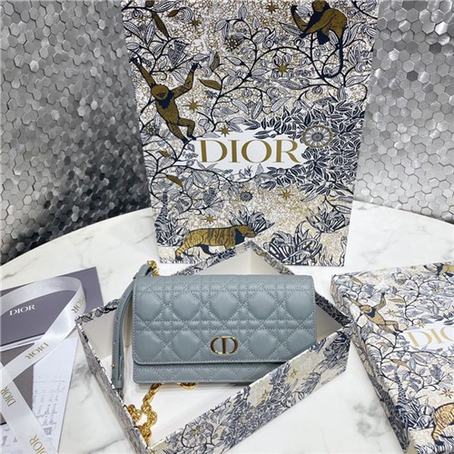 DIOR 디올 카로 힙색&크로스백