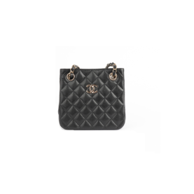 CHANEL 샤넬 미니 버킷백 AS3176
